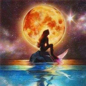 Meet your Posher, Sammie